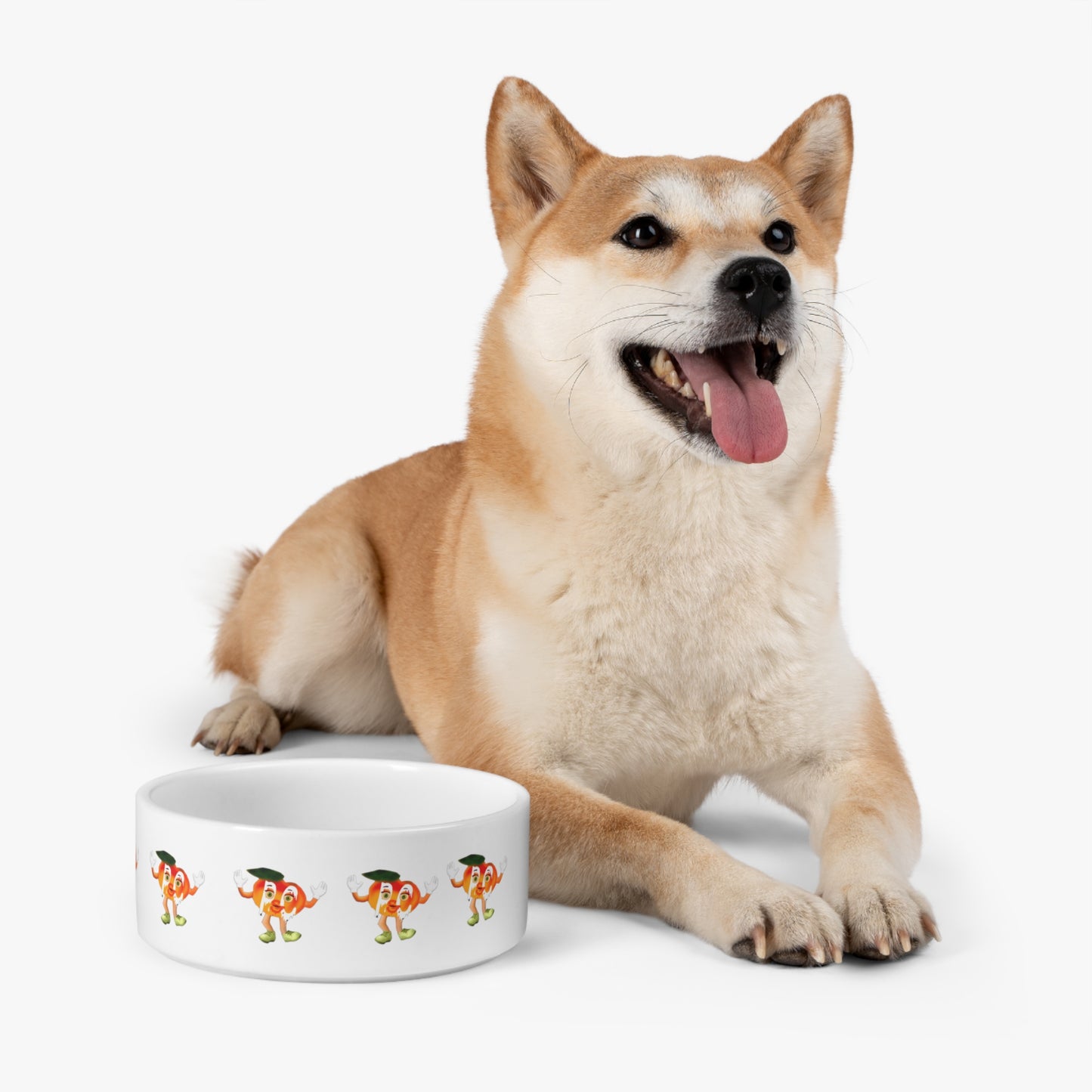 P & C Mascot Pet Bowl